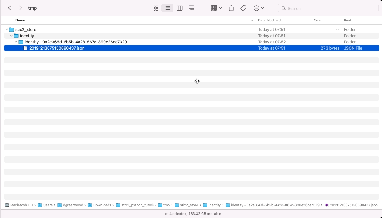 STIX2 file structure